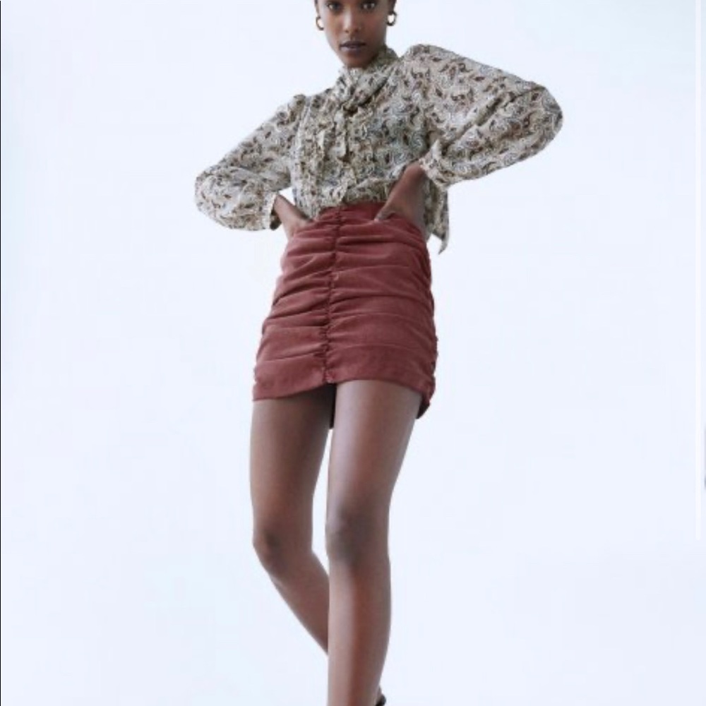 NWT Zara Skirt
